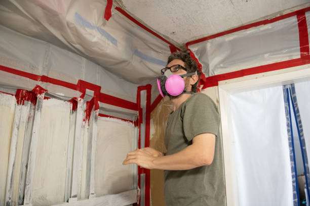  Haines, AK Mold Removal Pros