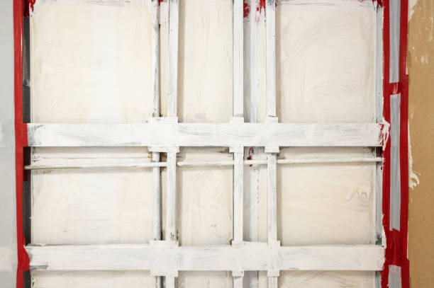 Trusted Haines, AK Mold Removal Experts