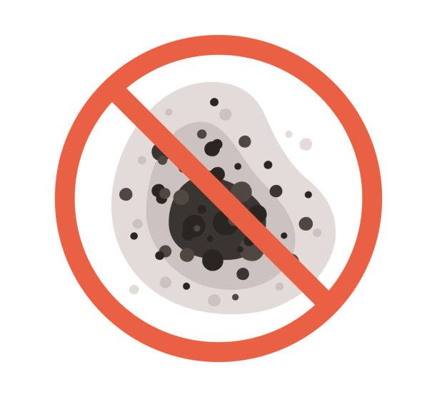 Best Comprehensive Air Testing for Mold Contaminants  in Haines, AK