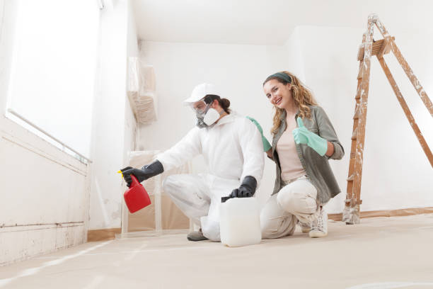 Best Crawl Space Mold Remediation  in Haines, AK
