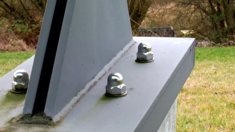 Best Real Estate Mold Inspection  in Haines, AK